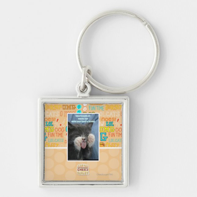 Smartmouth cat key ring (Front)