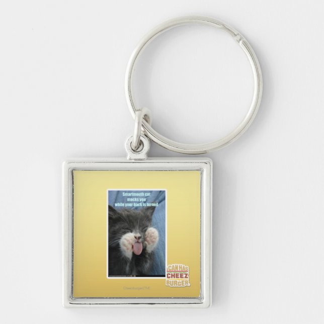 Smartmouth cat key ring (Front)