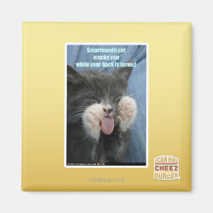 Smartmouth cat magnet