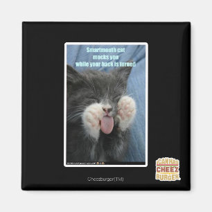 Smartmouth cat magnet
