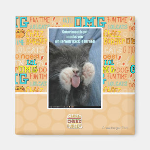 Smartmouth cat magnet