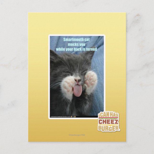 Smartmouth cat postcard (Front)