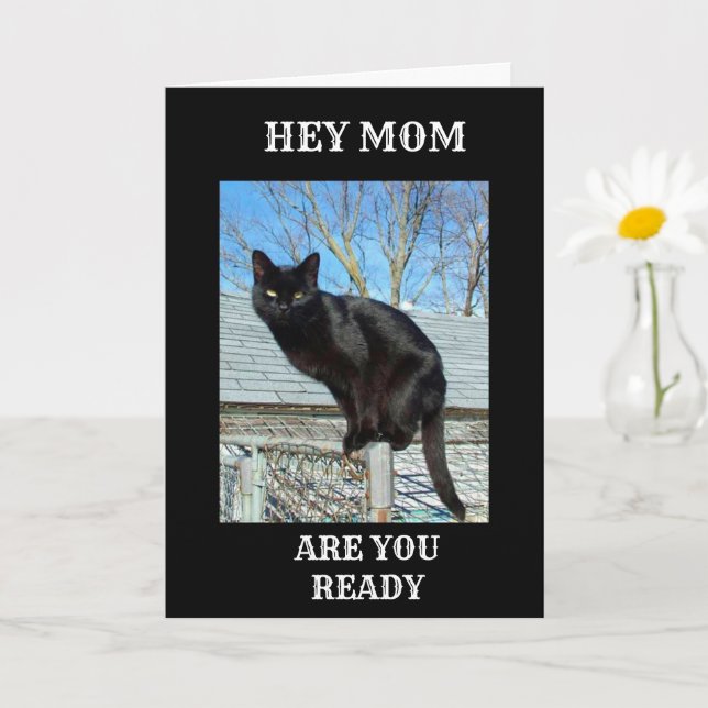 *SMARTY PANTS BLACK CAT FOR MOM'S** BIRTHDAY CARD (Small Plant)