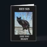 SMARTY PANTS BLACK CAT FOR *SISTER'S BIRTHDAY* CARD<br><div class="desc">THANKS FOR STOPPING BY ONE OF MY EIGHT STORES!! THIS  "SMARTY PANTS BLACK CAT" is POISED AND SO READY TO WISH "YOUR SISTER" A HAPPY BIRTHDAY. REMEBER YOU CAN CHANGE THE VERSE INSIDE AND OUT IN SECONDS!</div>