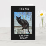 SMARTY PANTS BLACK CAT FOR *SISTER'S BIRTHDAY* CARD<br><div class="desc">THANKS FOR STOPPING BY ONE OF MY EIGHT STORES!! THIS  "SMARTY PANTS BLACK CAT" is POISED AND SO READY TO WISH "YOUR SISTER" A HAPPY BIRTHDAY. REMEBER YOU CAN CHANGE THE VERSE INSIDE AND OUT IN SECONDS!</div>