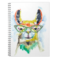 Smarty-Pants Llama