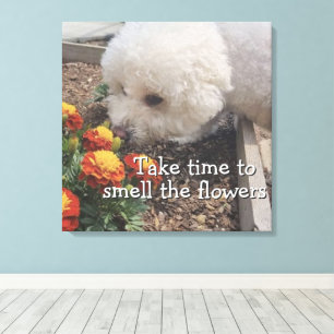 Smell the Flowers Canvas Print