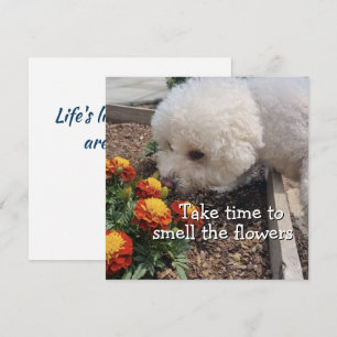 Smell the Flowers Card