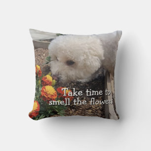 Smell the Flowers Cushion