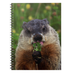 Smelling Spring Groundhog Notebook