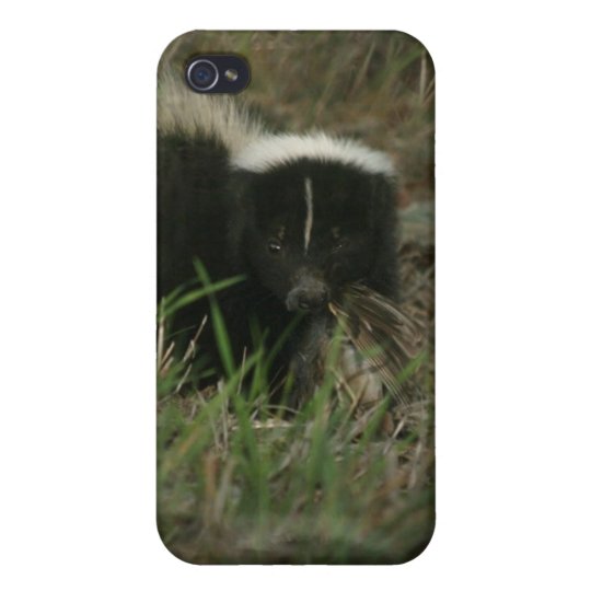 Smelly Skunk iPhone 4 Case