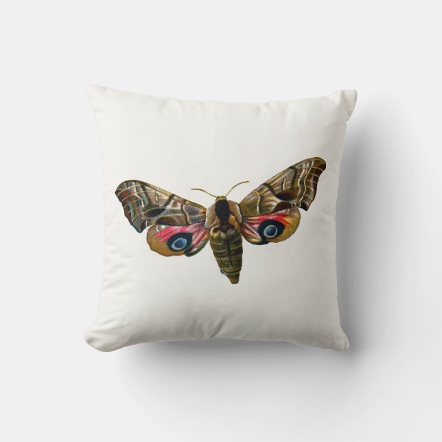 Smerinthus ocellata - Eyed Hawk-Moth - Colour Imag Cushion (Front)