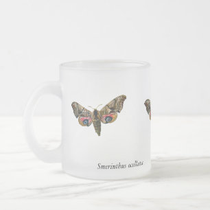 Smerinthus ocellata - Eyed Hawk-Moth - Colour Imag Frosted Glass Coffee Mug