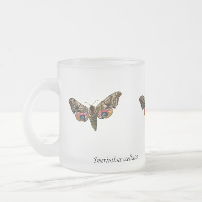Smerinthus ocellata - Eyed Hawk-Moth - Colour Imag Frosted Glass Coffee Mug (Left)
