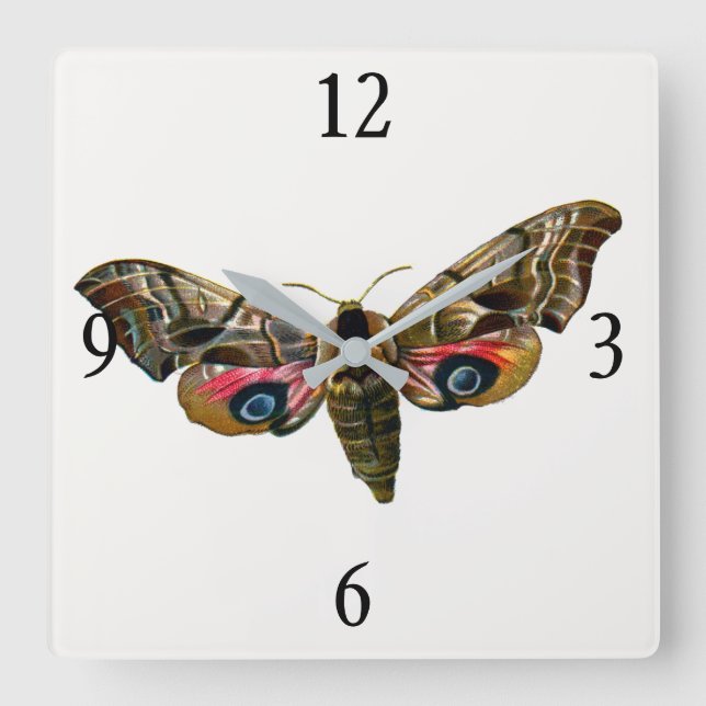Smerinthus ocellata - Eyed Hawk-Moth - Colour Imag Square Wall Clock (Front)