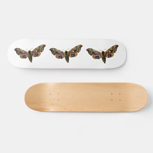 Smerinthus ocellata - Eyed Hawk-Moth Colour Image Skateboard (Horz)