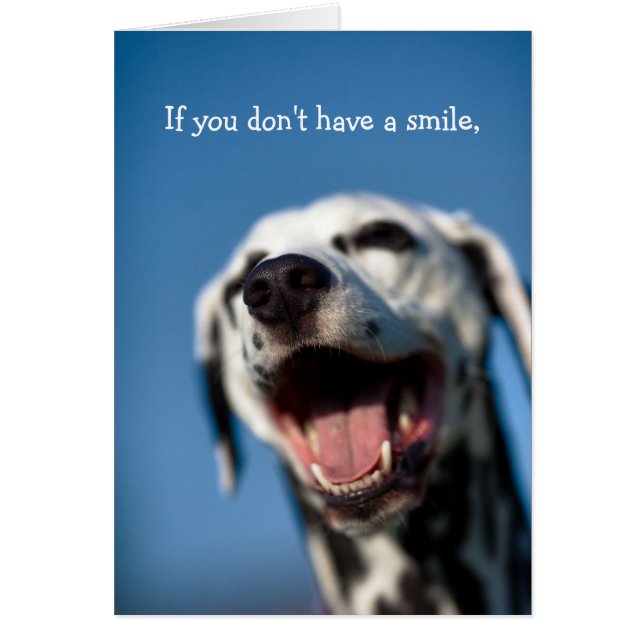Smile 2 (Front)