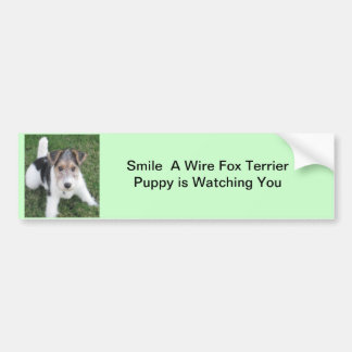 Smile A Wire Fox  Puppy is Watching You Bumper Sticker