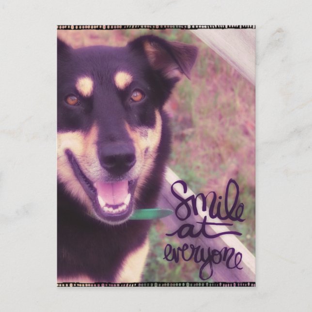 Smile at Everyone Dog Postcard (Front)