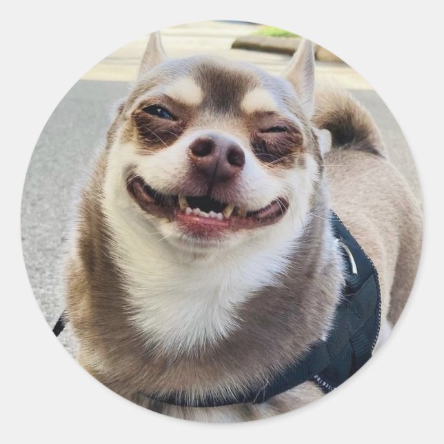 Smile Big Huey Classic Round Sticker (Front)