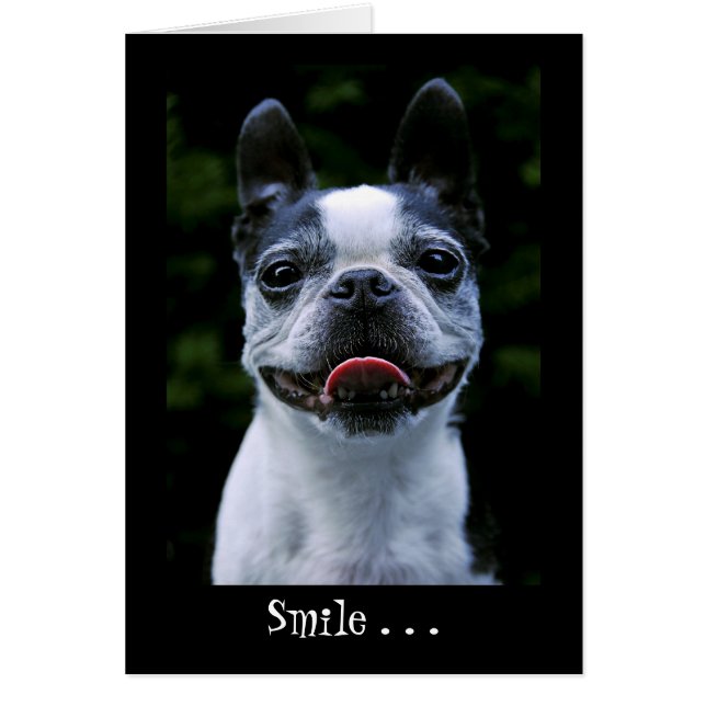 Smile Boston Terrier Card (Front)