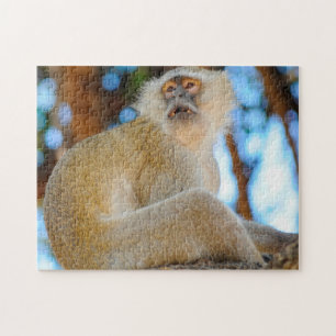 Smile. Botswana Velvet Monkey. Jigsaw Puzzle