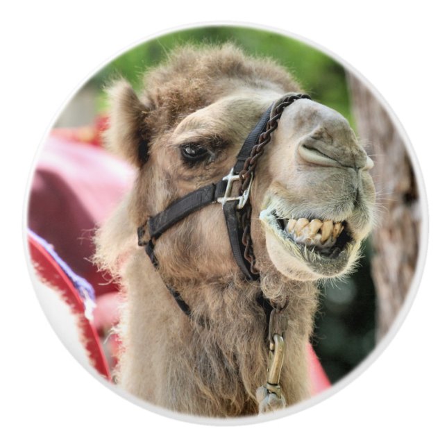 Smile Ceramic Knob (Front)