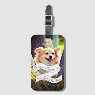 chihuahua accessories uk