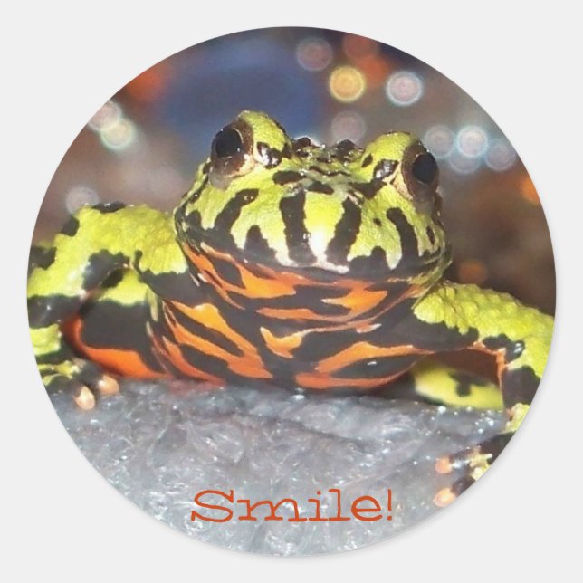 Smile!  Fire belly toad stickers (Front)