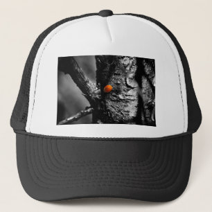 smile for a ladybug trucker hat