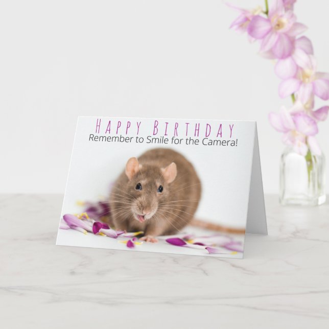 Smile for The Camera Rat Card (Orchid)