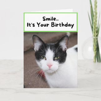 Smile.. It's Your Birthday - Cat Card