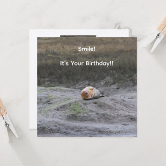 Smile! It's Your Birthday!!' Seal Greeting Card