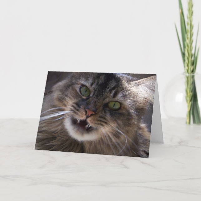 Smile, Maine Coon Greeting Card (blank) (Front)