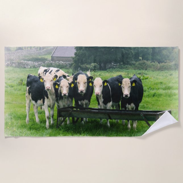 Smile please! Cute cows Beach Towel (Front)