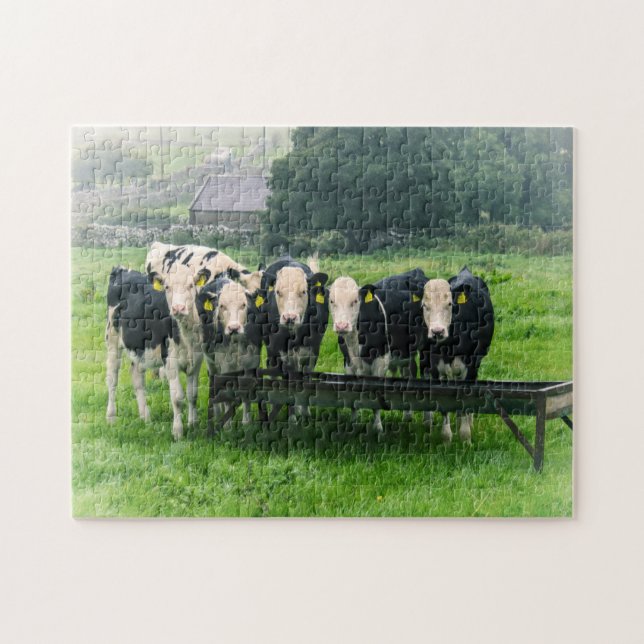 Smile please! Cute cows Jigsaw Puzzle (Horizontal)