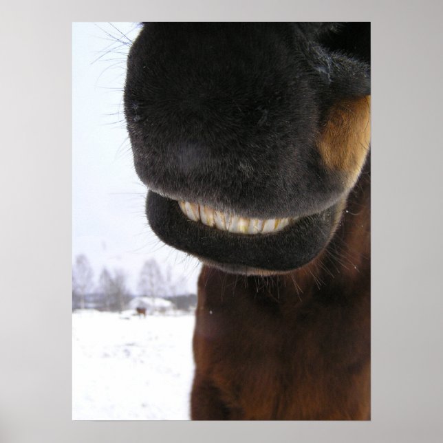 Smile Poster (Front)