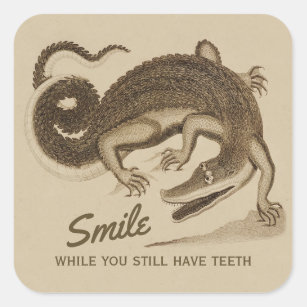 Smile while you still have teeth CC0890 Crocodile Square Sticker