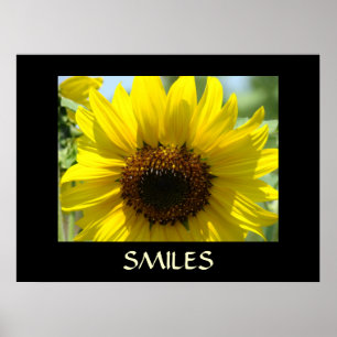 SMILES Art Print Yellow SUNFLOWERS Wall Art
