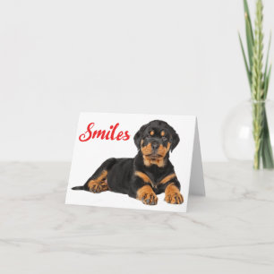 Smiles Rottweiler Puppy Dog Thinking of You, Hello Card