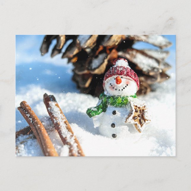 Smiley Little Snowman In Red Hat Postcard (Front)
