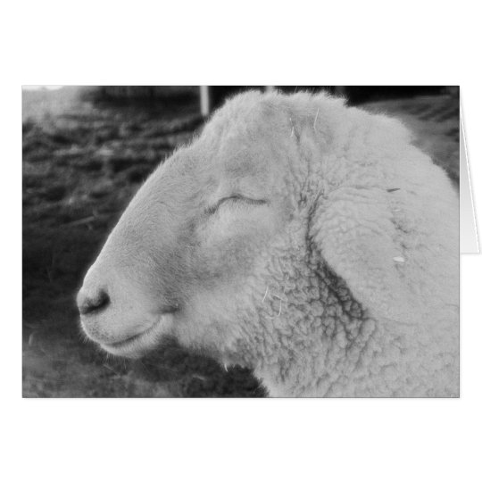 Smiley Sheep Card