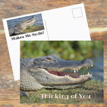 Smiling Alligator Grinning Gator Card