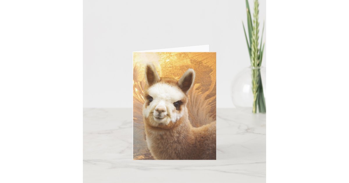 Smiling Alpaca Christmas Cards | Zazzle