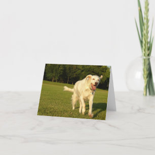 Smiling Angel Card