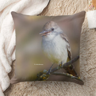 Smiling Ash-Throated Flycatcher on Hawthorn Branch Cushion