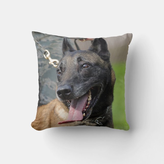 Smiling Belgian Malinois Dog Cushion (Front)