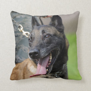 Smiling Belgian Malinois Dog Cushion