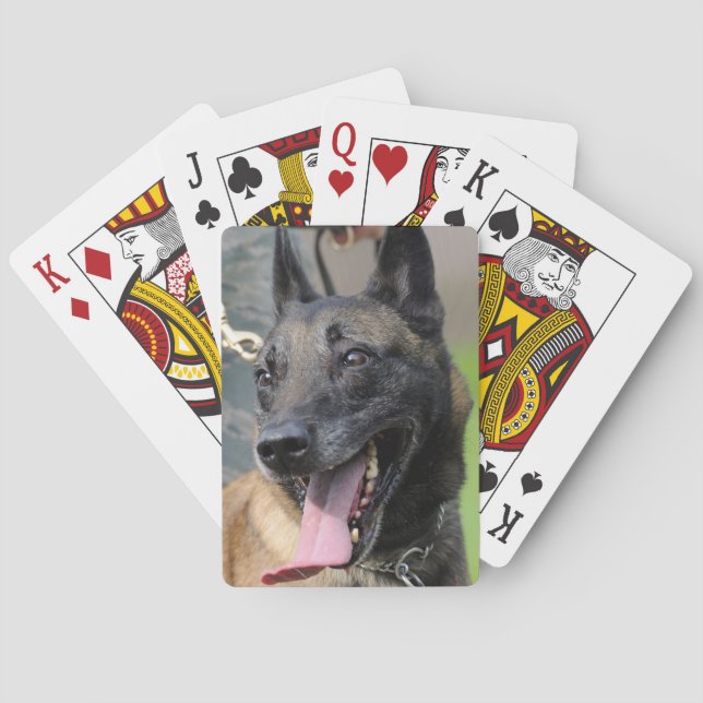 Smiling Belgian Malinois Dog Playing Cards (Back)