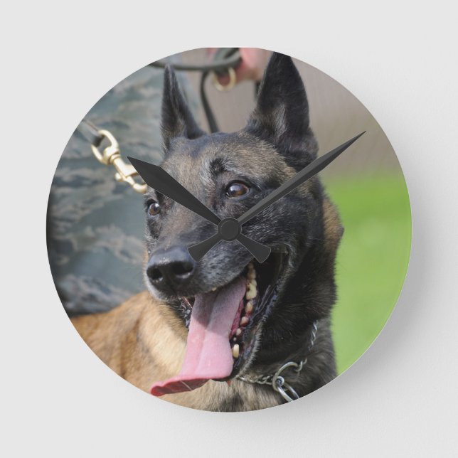 Smiling Belgian Malinois Dog Round Clock (Front)